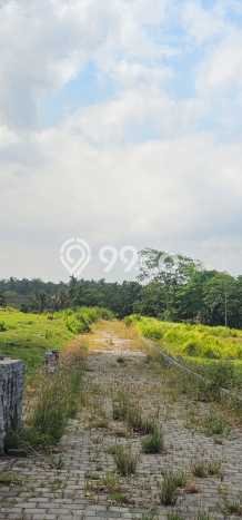 Kavling Tanah di Tabanan Dijual Luas 500m2 Legalitas - Kavling Tanah di Tabanan Dijual Luas 500m2 Legalitas -