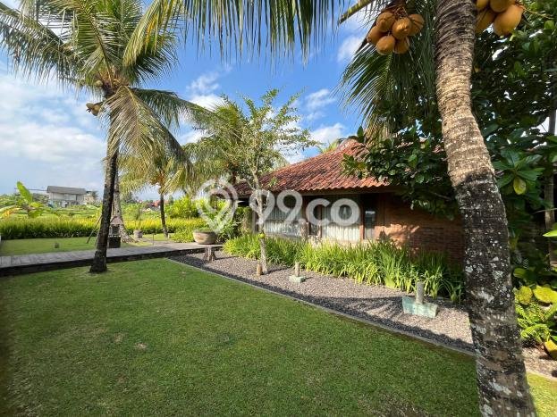 Vila Strategis Kawasan , Luas 1960m2m², Dekat ke beragam keperluan Vila Strategis Kawasan , Luas 1960m2m², Dekat ke beragam keperluan