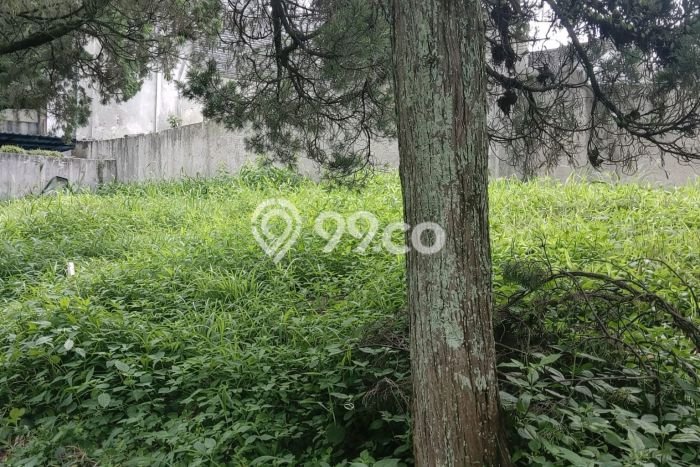 Tanah Kavling Dijual di Bandung dengan Spesifikasi 360m2 Tanah Kavling Dijual di Bandung dengan Spesifikasi 360m2