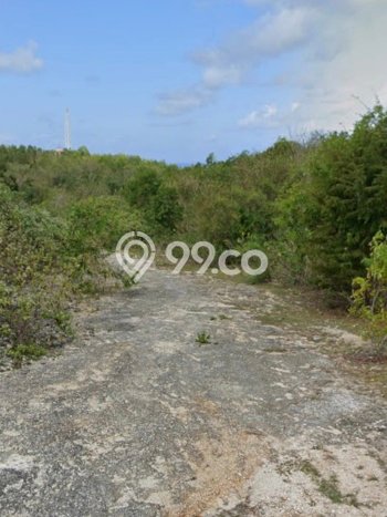 Kavling Tanah untuk Disewa di Ungasan Lahan Luas 10000m2 Kavling Tanah untuk Disewa di Ungasan Lahan Luas 10000m2