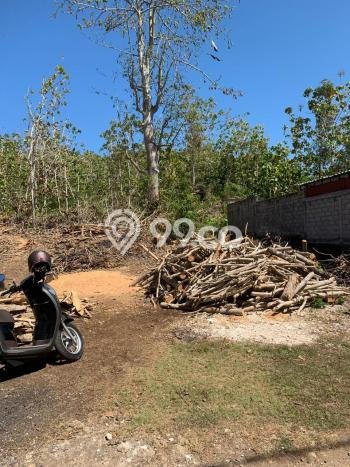 Tanah di , Luas 1260m2m², Lokasi Potensial, Kawasan Asri, Bebas Banjir Tanah di , Luas 1260m2m², Lokasi Potensial, Kawasan Asri, Bebas Banjir