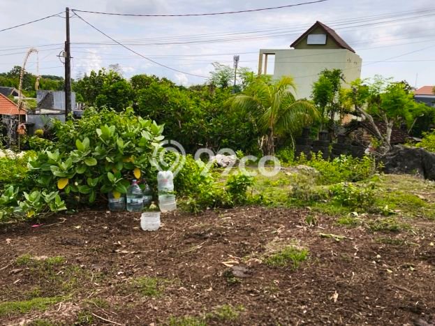 Tanah Kavling Dijual di Ungasan, Badung dengan Luas Tanah 500m2 Tanah Kavling Dijual di Ungasan, Badung dengan Luas Tanah 500m2