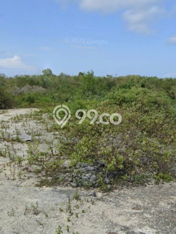 Kavling Tanah untuk Disewa di Ungasan Lahan Luas 10000m2 Kavling Tanah untuk Disewa di Ungasan Lahan Luas 10000m2