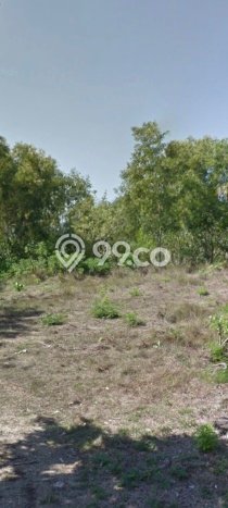 Tanah Lokasi Potensial Kawasan Pecatu, Luas 2180m2m², Akses ke Fasilitas Umum, Dekat Pecatu, Badung, Badung Tanah Lokasi Potensial Kawasan Pecatu, Luas 2180m2m², Akses ke Fasilitas Umum, Dekat Pecatu, Badung, Badung