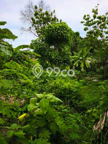 Tanah Kavling Dijual di Jimbaran, Badung dengan Luas Tanah 400m2 Tanah Kavling Dijual di Jimbaran, Badung dengan Luas Tanah 400m2