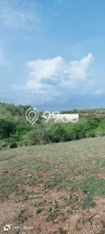 Lahan Dijual Lokasi Strategis di Badung dengan Luas 3535m2 Lahan Dijual Lokasi Strategis di Badung dengan Luas 3535m2