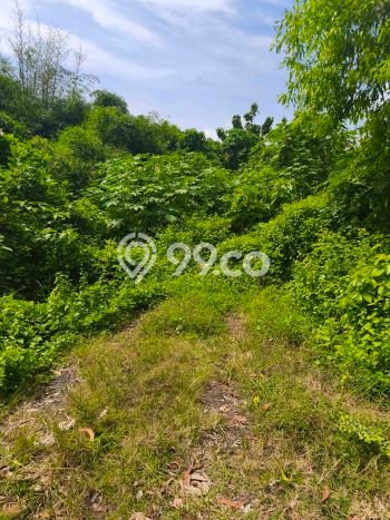 Dijual Tanah Kawasan , Luas 200m2m², Lingkungan Asri Dijual Tanah Kawasan , Luas 200m2m², Lingkungan Asri