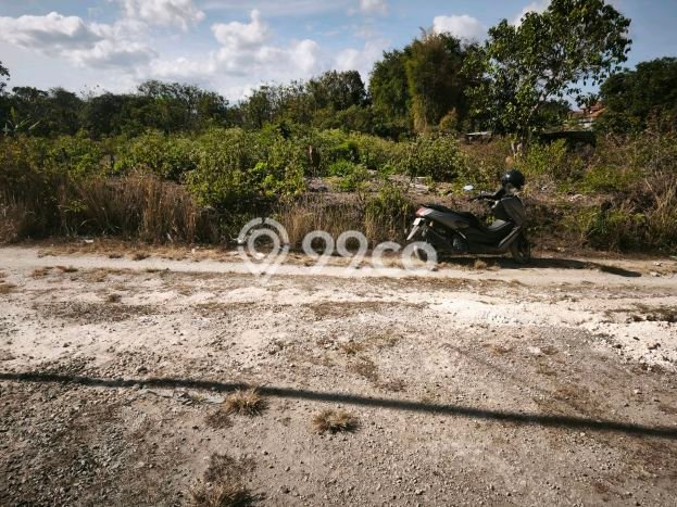 Dijual Tanah 619m2 di Kutuh, Badung Dijual Tanah 619m2 di Kutuh, Badung