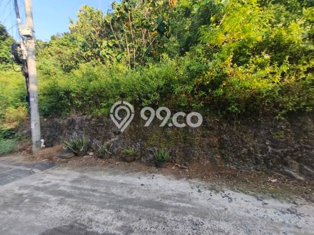 Tanah Kosong Dijual di Badung dengan Area 4600m2 Tanah Kosong Dijual di Badung dengan Area 4600m2