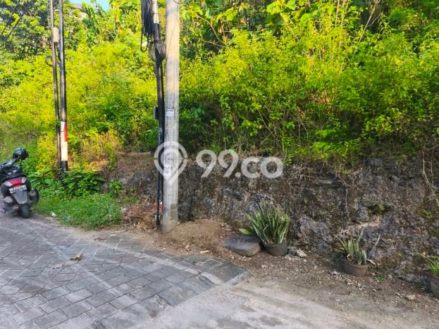Tanah Kosong Dijual di Badung dengan Area 4600m2 Tanah Kosong Dijual di Badung dengan Area 4600m2