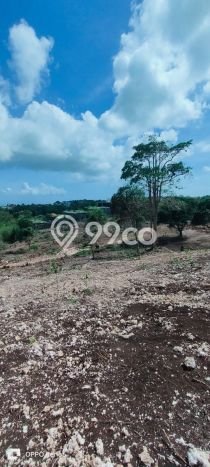 Untuk Disewa Tanah di Pecatu Badung Seluas 10000m2 Untuk Disewa Tanah di Pecatu Badung Seluas 10000m2
