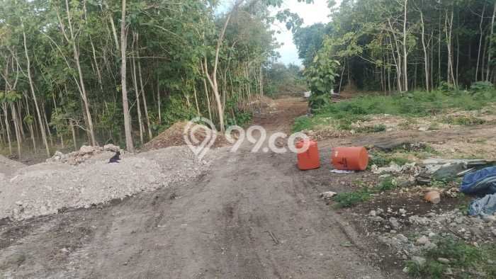 Tanah Kavling Dijual di Badung dengan Spesifikasi 4000m2 Tanah Kavling Dijual di Badung dengan Spesifikasi 4000m2