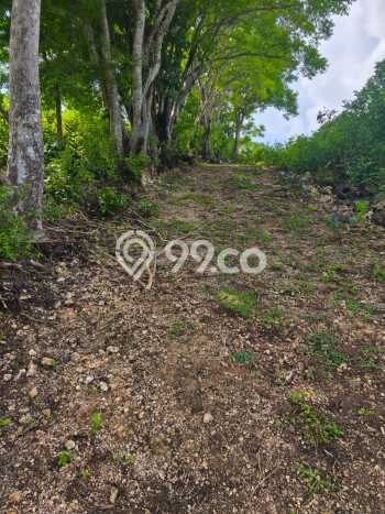 Dijual Tanah di Badung, Luas 4480m2 SHM Dijual Tanah di Badung, Luas 4480m2 SHM