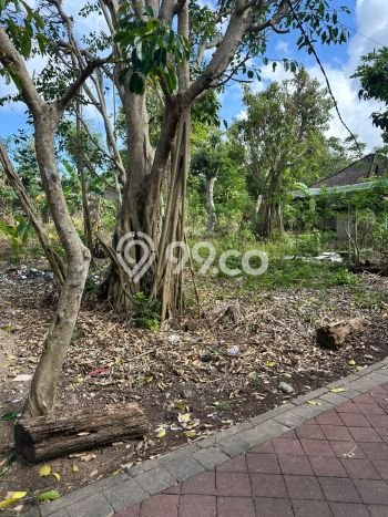 Tanah Dijual Area Strategis di Ungasan Badung 780m2 Tanah Dijual Area Strategis di Ungasan Badung 780m2