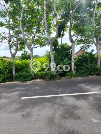 Tanah Dijual Area Strategis di Ungasan Badung 850m2 Tanah Dijual Area Strategis di Ungasan Badung 850m2