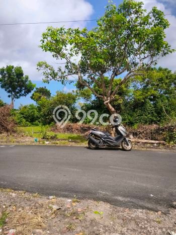 Tanah Dijual Area Strategis di Ungasan Badung 1200m2 Tanah Dijual Area Strategis di Ungasan Badung 1200m2