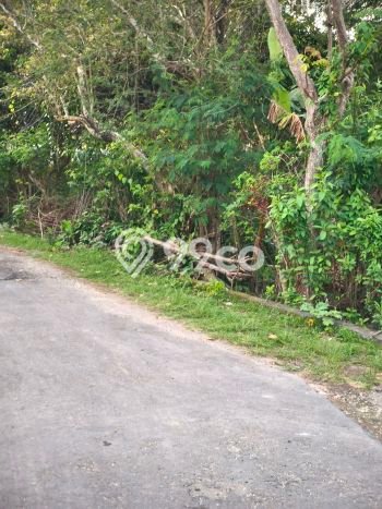Lahan untuk Disewa di Badung Luas 500m2 Lahan untuk Disewa di Badung Luas 500m2