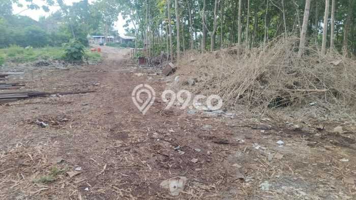 Tanah Kavling Dijual di Badung dengan Spesifikasi 4000m2 Tanah Kavling Dijual di Badung dengan Spesifikasi 4000m2