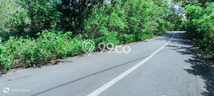 Lahan Dijual Lokasi Nusa Dua, Badung dengan Luas Tanah 10000m2 dan Status SHM Lahan Dijual Lokasi Nusa Dua, Badung dengan Luas Tanah 10000m2 dan Status SHM