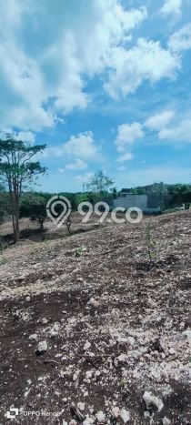 Untuk Disewa Tanah di Pecatu Badung Seluas 10000m2 Untuk Disewa Tanah di Pecatu Badung Seluas 10000m2