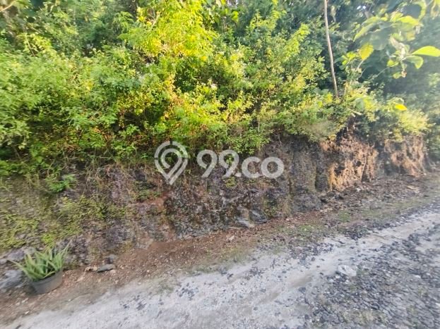 Tanah Kosong Dijual di Badung dengan Area 4600m2 Tanah Kosong Dijual di Badung dengan Area 4600m2