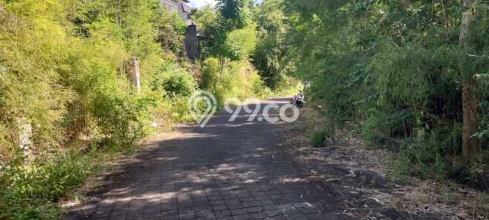 Tanah Kavling Dijual di Badung dengan Spesifikasi 470m2 Tanah Kavling Dijual di Badung dengan Spesifikasi 470m2