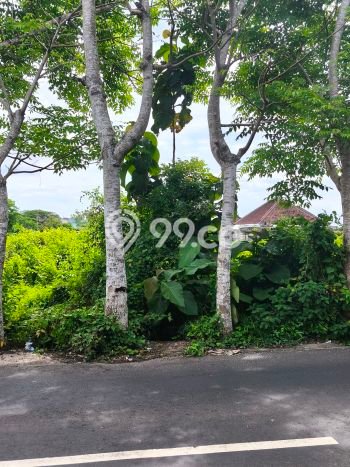 Tanah Dijual Area Strategis di Ungasan Badung 850m2 Tanah Dijual Area Strategis di Ungasan Badung 850m2
