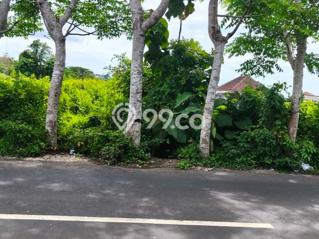 Tanah Dijual Area Strategis di Ungasan Badung 850m2 Tanah Dijual Area Strategis di Ungasan Badung 850m2