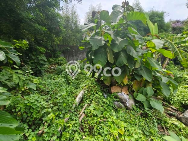 Kavling Tanah untuk Dijual di Jimbaran, Badung, Luas 124m2 Kavling Tanah untuk Dijual di Jimbaran, Badung, Luas 124m2