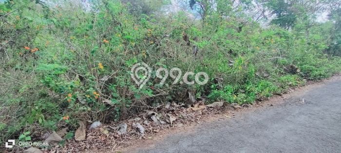 Dijual Tanah Lokasi Kutuh, Badung Seluas 5640m2 Dijual Tanah Lokasi Kutuh, Badung Seluas 5640m2