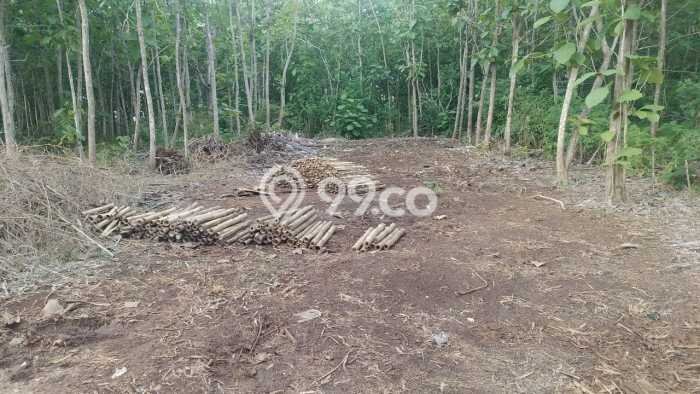 Tanah Kavling Dijual di Badung dengan Spesifikasi 4000m2 Tanah Kavling Dijual di Badung dengan Spesifikasi 4000m2