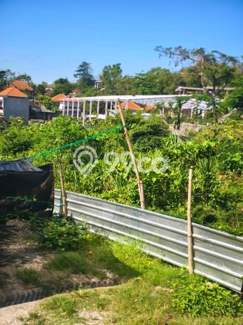 Dijual Tanah 505m2 di Pecatu, Badung Dijual Tanah 505m2 di Pecatu, Badung