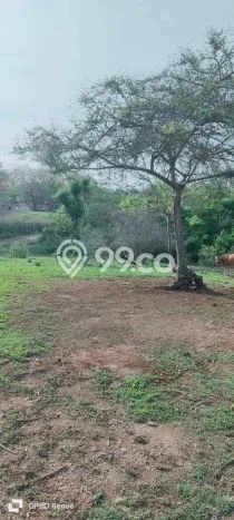 Lahan Dijual Lokasi Strategis di Badung dengan Luas 3535m2 Lahan Dijual Lokasi Strategis di Badung dengan Luas 3535m2