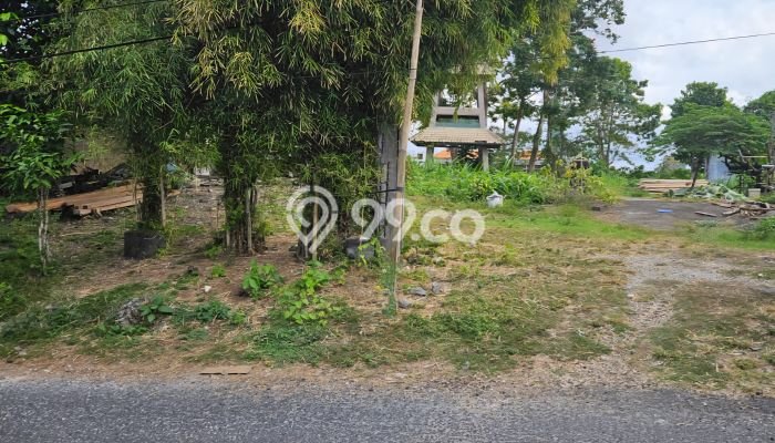 Tanah Kavling Dijual di Badung dengan Spesifikasi 5000m2 Tanah Kavling Dijual di Badung dengan Spesifikasi 5000m2