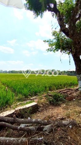 Tanah Kosong Dijual di Sukoharjo dengan Area 1925m2 Tanah Kosong Dijual di Sukoharjo dengan Area 1925m2