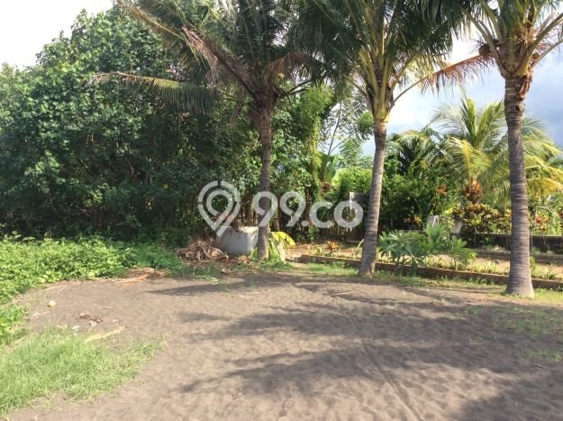 Kavling Tanah untuk Dijual di Singaraja, Buleleng, Luas 1470m2 Kavling Tanah untuk Dijual di Singaraja, Buleleng, Luas 1470m2
