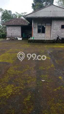 Lahan Dijual Lokasi Strategis di Buleleng dengan Luas 38500m2 Lahan Dijual Lokasi Strategis di Buleleng dengan Luas 38500m2
