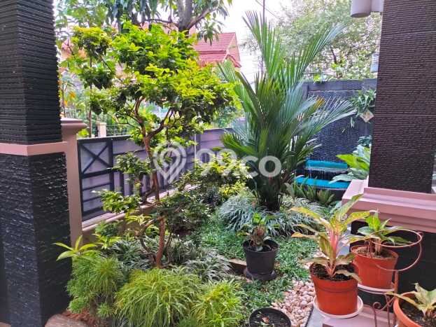 Rumah Luas Asri 5 KT Siap Pakai di Sukmajaya Depok Rumah Luas Asri 5 KT Siap Pakai di Sukmajaya Depok
