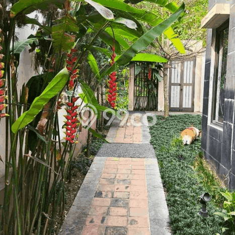 For Sale Rumah Elit Exclusive di Megamendung, Bogor For Sale Rumah Elit Exclusive di Megamendung, Bogor