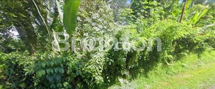Tanah Lokasi Potensial di Pupuansawah, Luas 4500m², Dekat ke Fasilitas Umum Tanah Lokasi Potensial di Pupuansawah, Luas 4500m², Dekat ke Fasilitas Umum