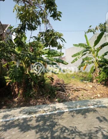 Tanah Area Potensial Kawasan Pedurungan, Luas 300m2m², Kawasan Asri, Akses Pedurungan, Semarang, Semarang Tanah Area Potensial Kawasan Pedurungan, Luas 300m2m², Kawasan Asri, Akses Pedurungan, Semarang, Semarang