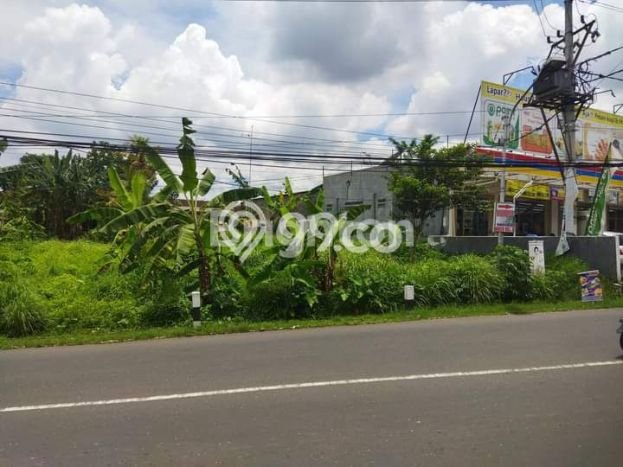 Tanah Dijual Lokasi Mijen, Semarang Luas 979m2 Legalitas Aman Tanah Dijual Lokasi Mijen, Semarang Luas 979m2 Legalitas Aman