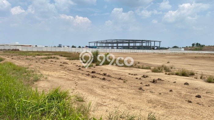 Lahan untuk Dijual Lokasi Ciampel, Karawang Luas 5000m2 - Lahan untuk Dijual Lokasi Ciampel, Karawang Luas 5000m2 -