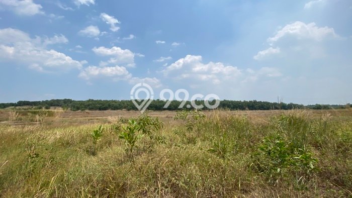 HARGA TERBAIK! Tanah Kawasan Karawang Barat, Luas 31000m2m², Area Premium HARGA TERBAIK! Tanah Kawasan Karawang Barat, Luas 31000m2m², Area Premium