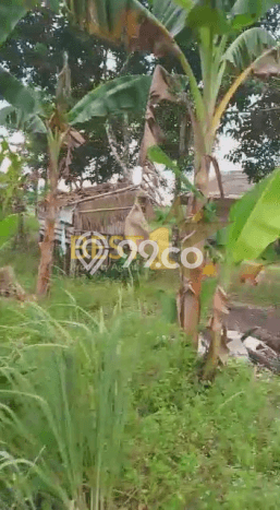 Tanah untuk Dijual Lokasi Pontianak Kota, Pontianak Luas 136935m2 SHM Tanah untuk Dijual Lokasi Pontianak Kota, Pontianak Luas 136935m2 SHM