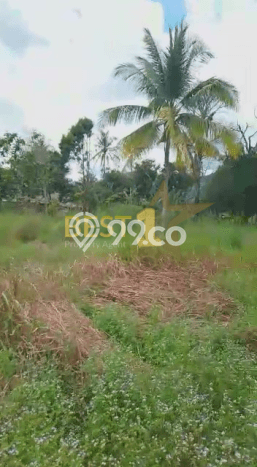 Tanah untuk Dijual Lokasi Pontianak Kota, Pontianak Luas 136935m2 SHM Tanah untuk Dijual Lokasi Pontianak Kota, Pontianak Luas 136935m2 SHM