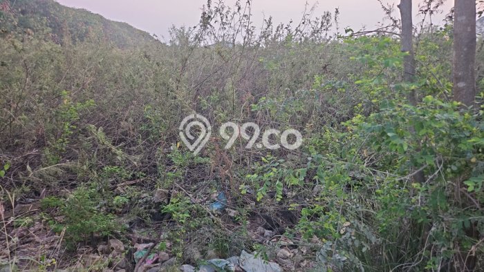 Untuk Dijual Tanah di Pakuhaji Tangerang Luas 4514m2 SHM Untuk Dijual Tanah di Pakuhaji Tangerang Luas 4514m2 SHM