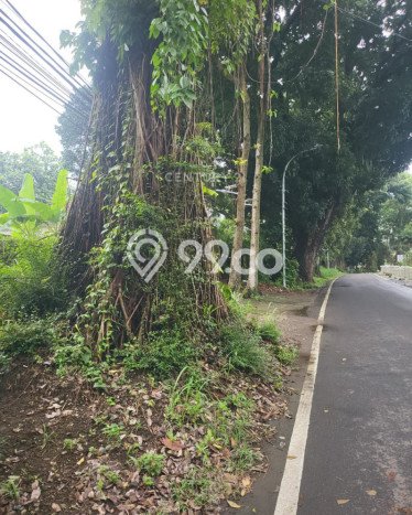 Jarang Ada! Tanah Kavling Disewakan di Bogor 953m2 Jarang Ada! Tanah Kavling Disewakan di Bogor 953m2