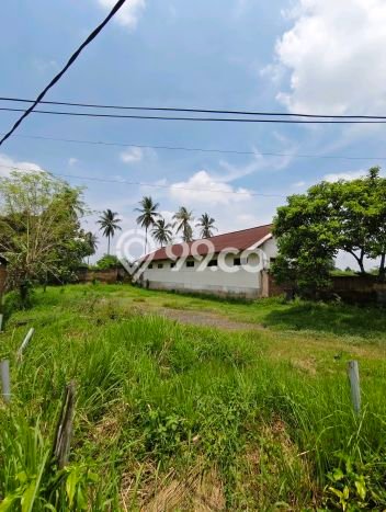 Tanah Kavling untuk Dijual di Gondanglegi Malang 14500m2 Tanah Kavling untuk Dijual di Gondanglegi Malang 14500m2