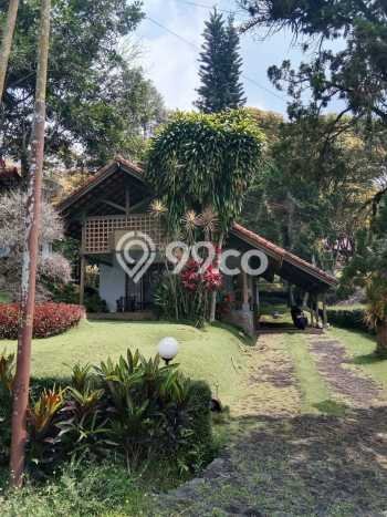 Properti Strategis! Vila di Trawas, Luas 492m2m², Hasil Menjanjikan untuk bisnis Properti Strategis! Vila di Trawas, Luas 492m2m², Hasil Menjanjikan untuk bisnis